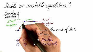 Classifying Stability - Differential Equations in Action