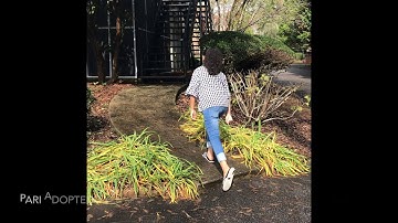 And The Mountains Echoed by Khaled Hosseini Trailer