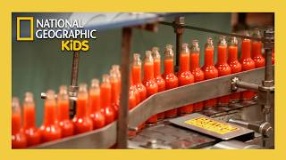 learn how hot sauce is made made day full episode atnatgeokids