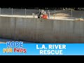 L.A. River rescue was unlike anything we've done before!