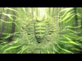 Shpongle - I Am You HD