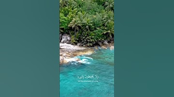 #قرآن #أية_الكرسي #سعود_الشريم #سورة_البقرة