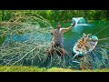 Building BAITED Brushpiles for PET Bass in Backyard POND!! (Dogfood vs Fishfood)