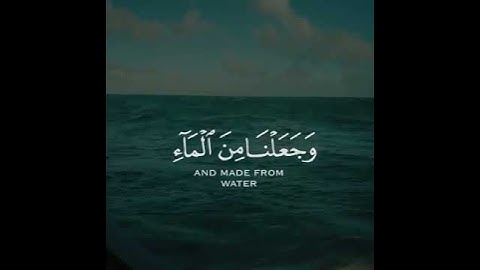 القرآن الكريم | وَجَعَلْنَا مِنَ الْمَاءِ كُلَّ شَيْءٍ حَيٍّ ۖ أَفَلَا يُؤْمِنُونَ | سورة الأنبياء