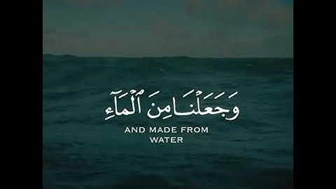 القرآن الكريم | وَجَعَلْنَا مِنَ الْمَاءِ كُلَّ شَيْءٍ حَيٍّ ۖ أَفَلَا يُؤْمِنُونَ | سورة الأنبياء