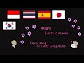 學貓叫 [ Learn to Meow Meow ] - Cover song in many languages