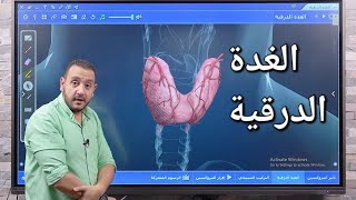 ابطال اليوتيوب احياء الحصة الجديدة | التنسيق الهرموني | الغدة الدرقية بطريقة عمرك ما شفتها احياء