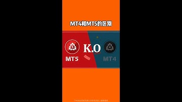 解析MT4和MT5外汇交易APP有何区别？广州博森科技公司博森小蝶