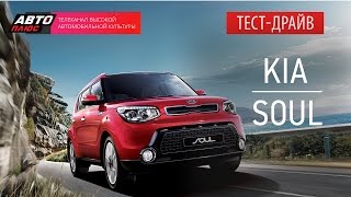 Тест-драйв - Обновленный KIA Soul 2014 - АВТО ПЛЮС