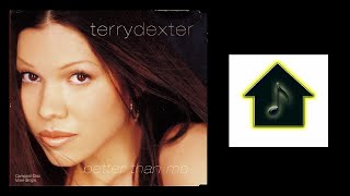 Terry Dexter - Better Than Me (Hex Hector's Big Room 12'' Mix)