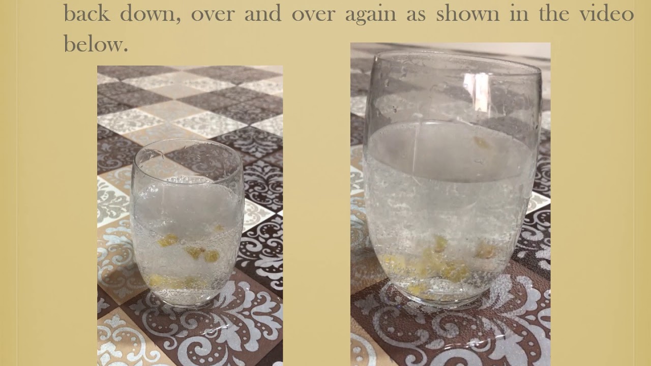 Dancing Raisins YouTube