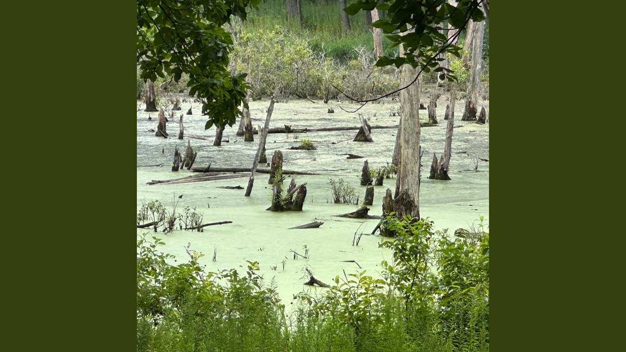 Tell Me What You Meant