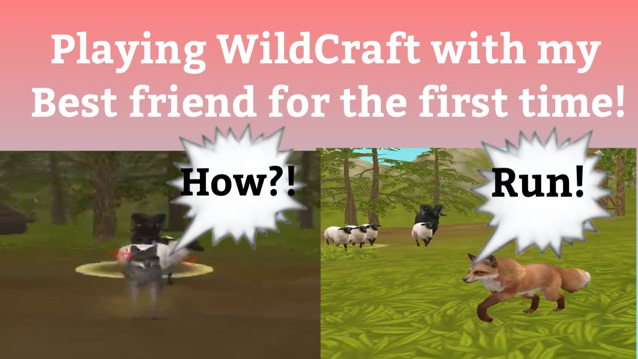 PLAYING WILDCRAFT WITH KYNZI FOR THE FIRST TIME (very funny)