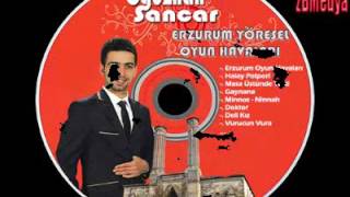 Oguzhan Sancar - Bahçade Yeşil Çınar