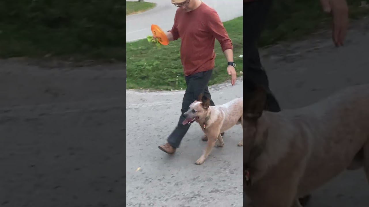 25 февраля 2026 г.