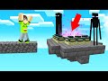 I Found The END PORTAL In SKY BLOCK! (Minecraft)