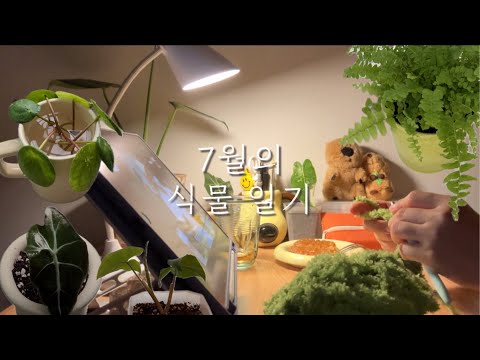 유일화원