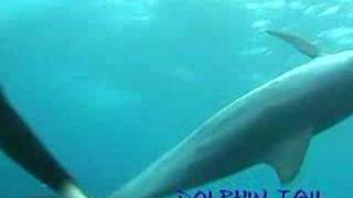 みらいじま20080503_02