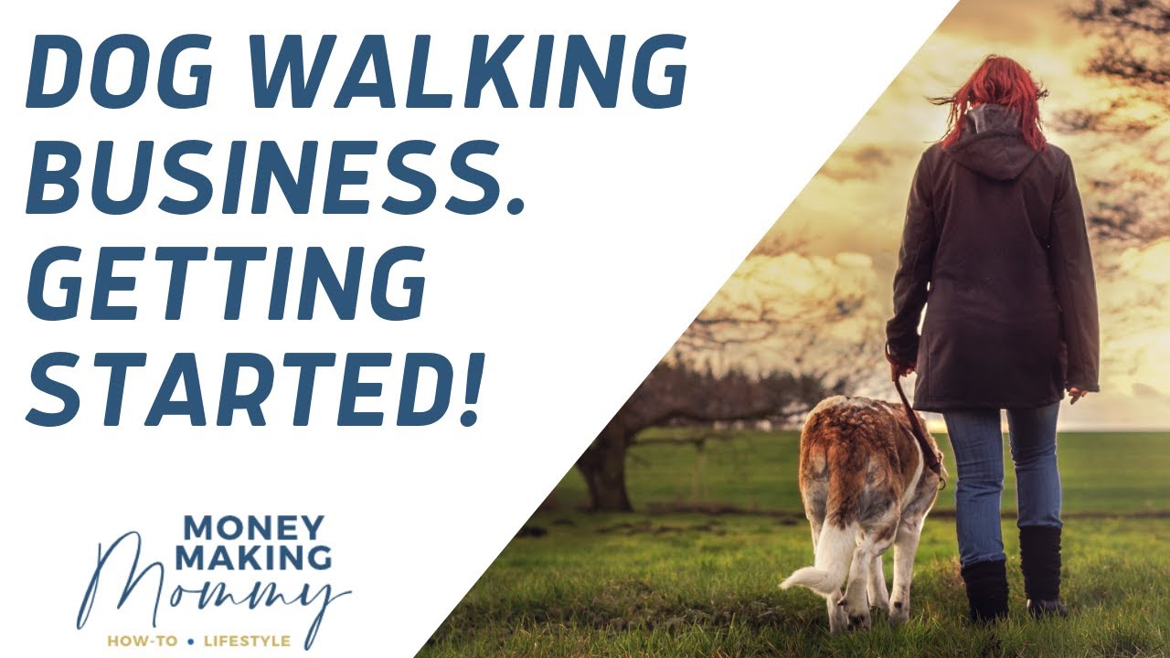 Dog Walking Business - Getting Started