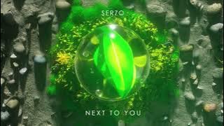 Serzo - Next To You (Official Hardstyle Audio)