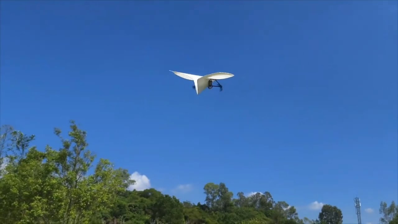 HAWK’S WORK RC Paper Plane Kit with Colored Papers, DIY & STEM