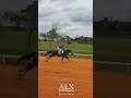 AUGUSTUS VERDE - Classificatório do GP CAMPEÃO DOS CAMPEÕES (Jockey Club de Sorocaba)