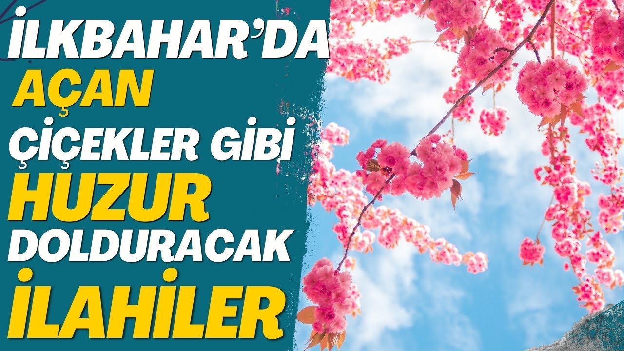 İLKBAHARDA AÇAN ÇİÇEKLER GİBİ HUZUR DOLDURACAK İLAHİLER | HAYIRLI HAFTALAR