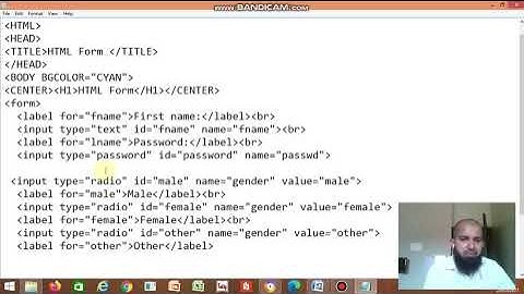 HTML Form - Input Type  - Text Password Radio Checkbox Submit  Button