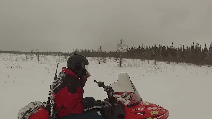 Manitoba Buffalo Hunt - Feb 2017 - v1.0