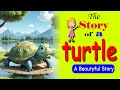 The story of a turtle story for kids in english  cartoon story in english l l  emly kids zone l l