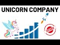 What is a Unicorn Company? | Meaning, Key Terms and Salient Features