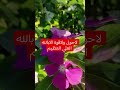 القرآن الكريم راحه نفسيه اطمئن إن بعد العسر يسرا القرآن الكريم اكسبلور المصحف 