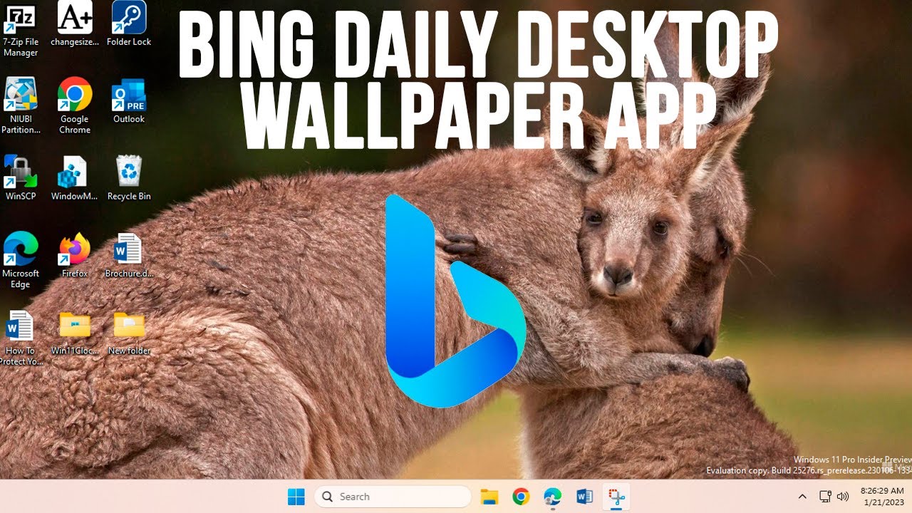 Microsoft's new Bing Wallpaper application is now available