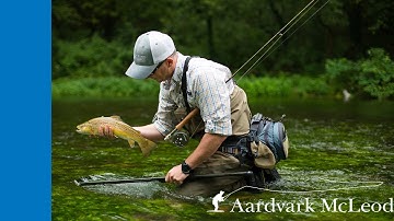 Introduction to Aardvark McLeod 2025