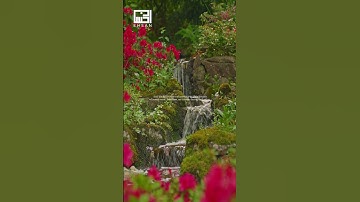 سورة الحجر من الآية 45 إلى 48 القارئ #هزاع_البلوشي  #القران