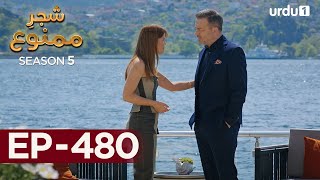 Shajar-e-Mamnu | Episode 480 | Turkish Drama  | Forbidden Fruit | Urdu Dubbing | 12th October 2022