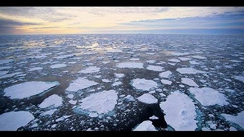 Libertarians: Do You Believe In Man-Made Climate Change? If So, How Do We Go About Fixing It?