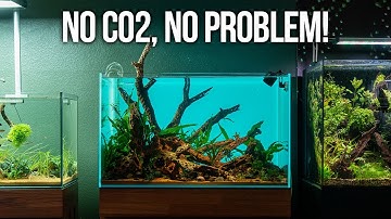 Step By Step Low Tech Planted Aquarium in a UNS 60U