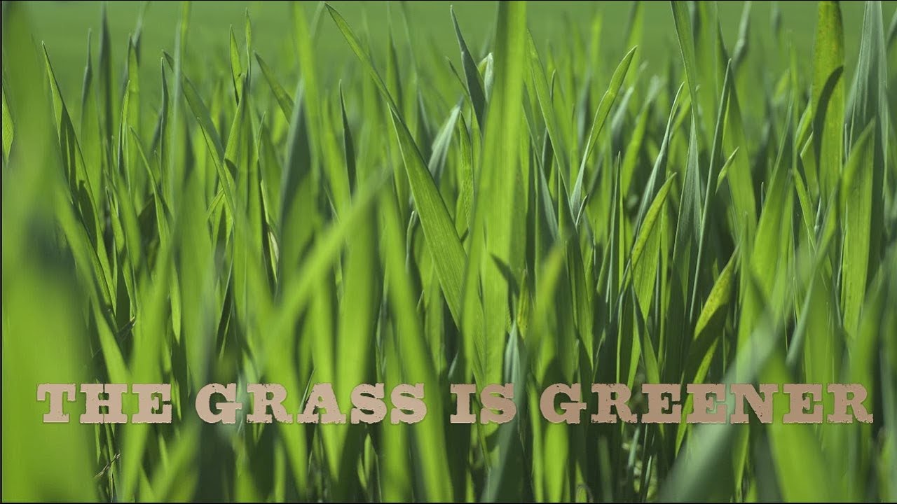 James Mclean The Grass Is Greener Epic Folk Youtube