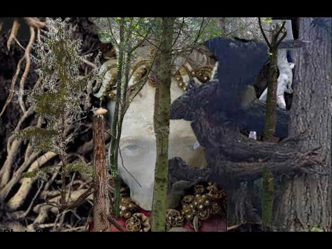 Купринъ Куку - Махамайя (муз. и сл. Б. Гребенщиков)