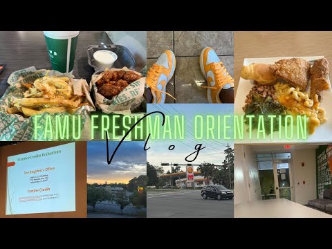 Famu Freshman Orientation| 26?  #college #famuly