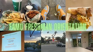 Famu Freshman Orientation| 26🐍  #college #famuly