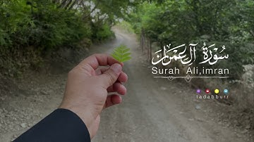 اجمل تلاوة هادئة 💌🤍😮|🎙️|القارئ محمد حمزة