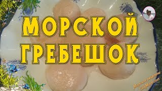 МОРСКОЙ ГРЕБЕШОК. КУЛИНАРНЫЕ ВИДЕОРЕЦЕПТЫ МОРСКОЙ ГРЕБЕШОК ОТ Petr de Cril'on | Scallops |(Хотите приготовить изысканное, http://www.youtube.com/watch?v=2YmEeW7O3RM но простое блюдо для романтического вечера? Права..., 2013-02-20T23:15:09.000Z)