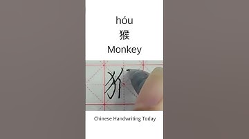 How to write Monkey in Chinese character | Amazing Chinese Calligraphy | Satisfying Handwriting