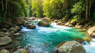 Deep Sleep River – Relaxing Calm Water Sounds to Help You Enter Deep Sleep Fast
