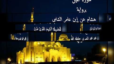 سورة الليل برواية هشام للشيخ طارق محمد محمد