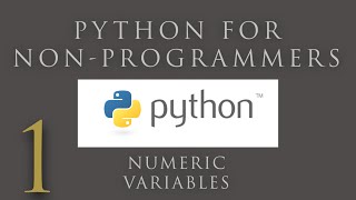 Famous Python for Beginners. Numeric Variables. Learn Python fast and easy. Net Worth
