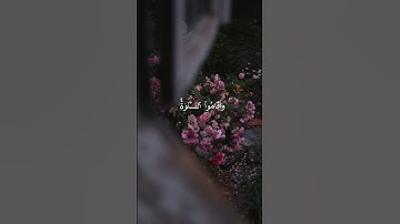 سورة فاطر آية 18 #اكسبلور #القران #راحة_نفسية #القاريء #تيك_توك #الصلاه #voiceeffects #جامعه #خطبه