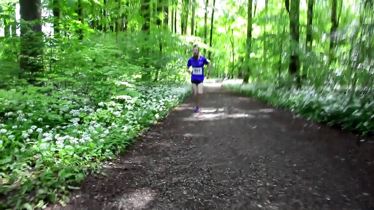 Riis Skov løbet 2015